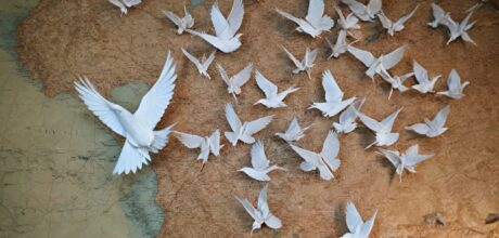 tratados de paz que acabaram gerando novos conflitos