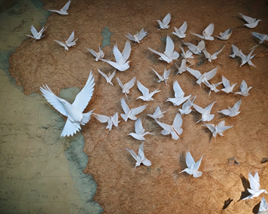 tratados de paz que acabaram gerando novos conflitos