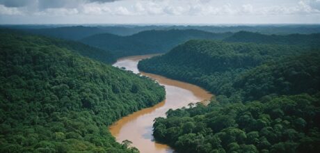 Rios voadores da Amazônia: impacto no clima brasileiro