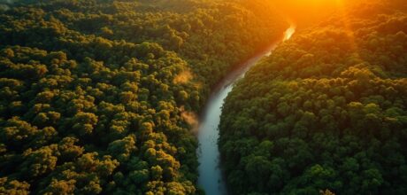 Patrimônio Natural UNESCO: Protegidos e Fascinantes