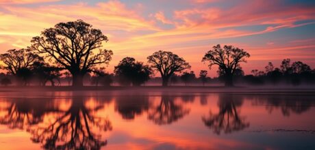 Pantanal: A Maior Planície Alagável do Mundo